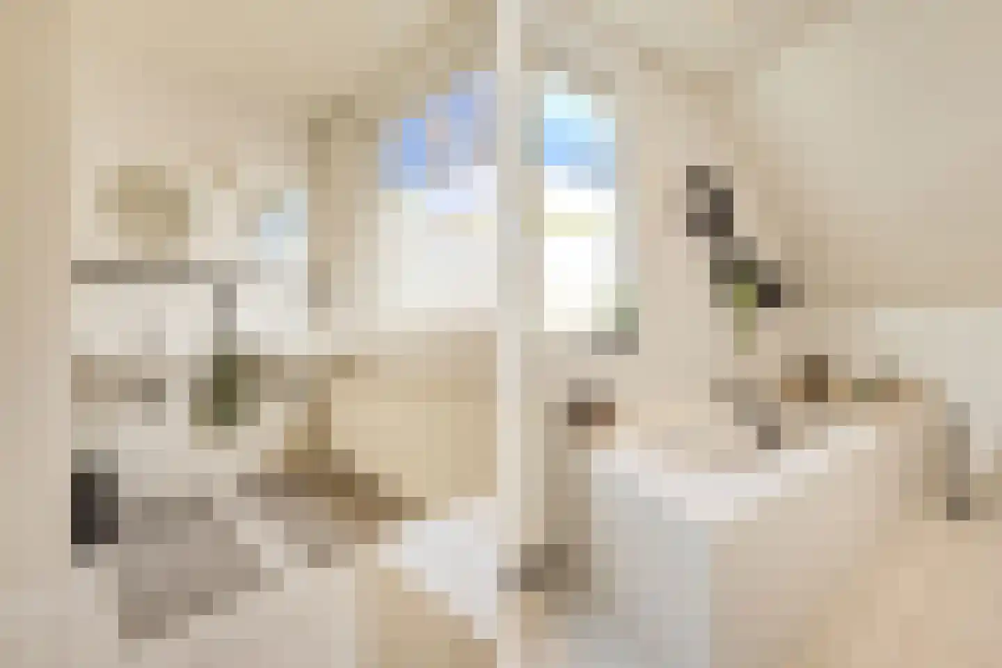Heezerweg 4 Sterksel thumbnail 19