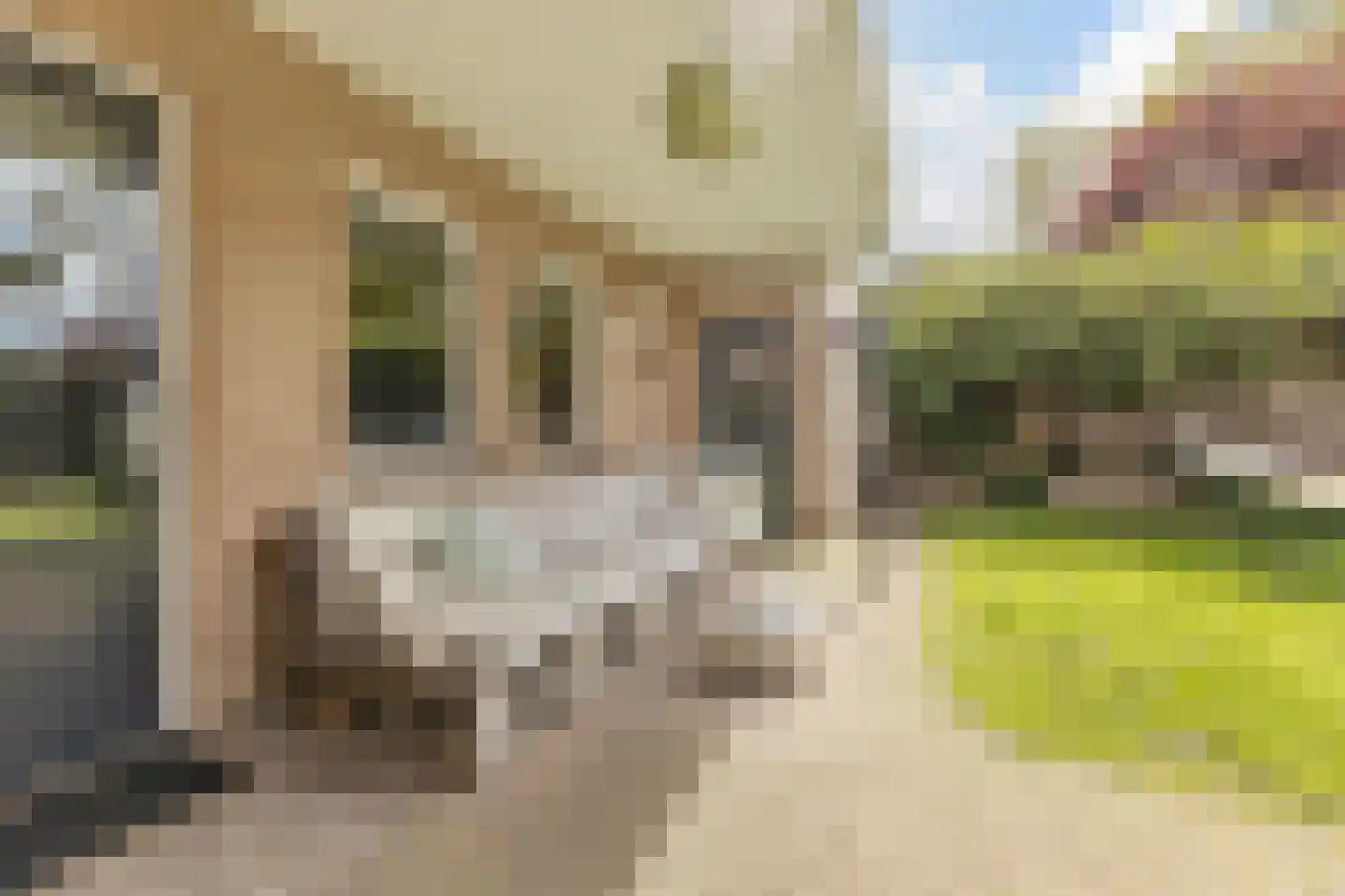 Heezerweg 4 Sterksel thumbnail 20