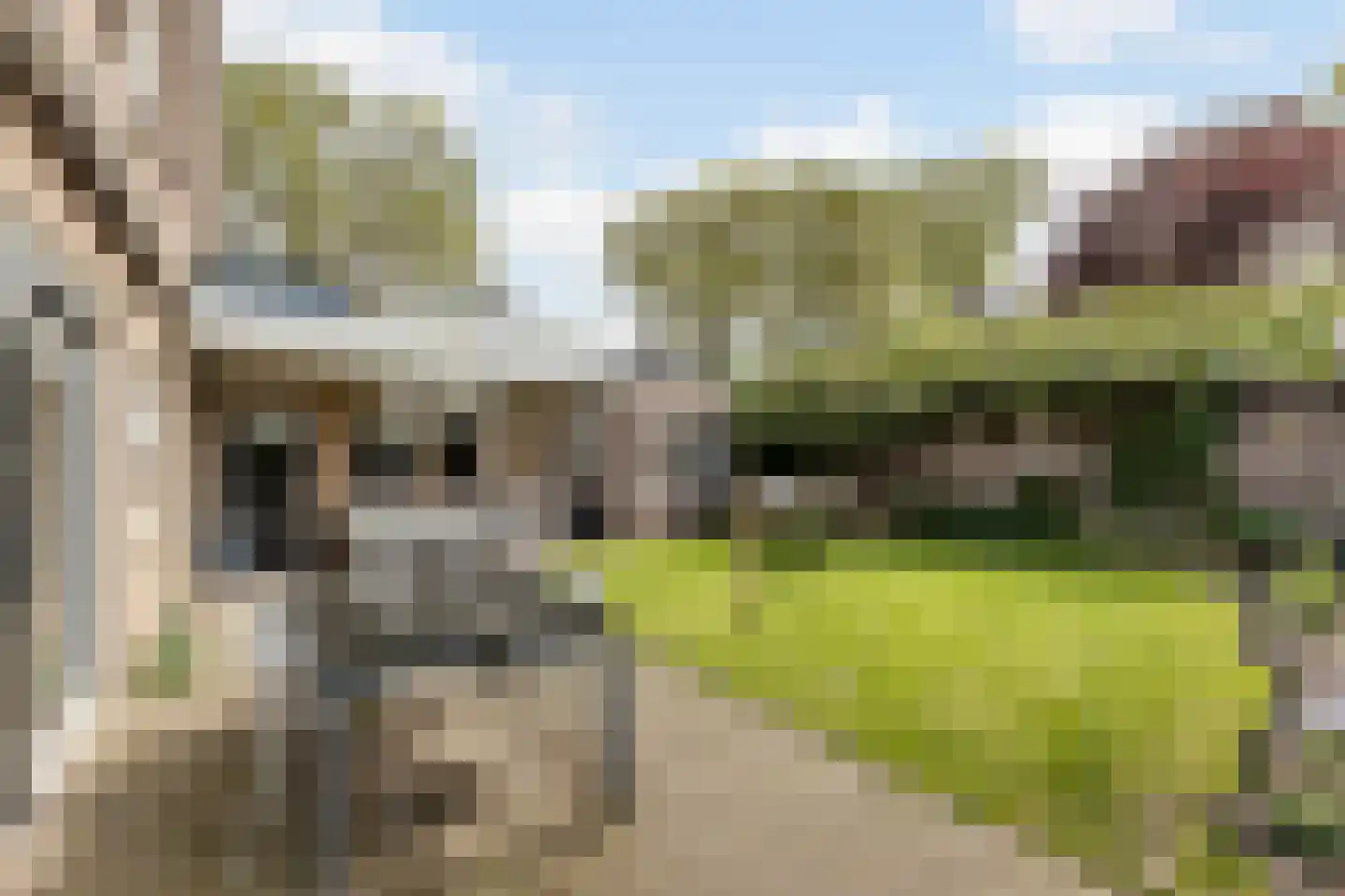 Heezerweg 4 Sterksel thumbnail 23