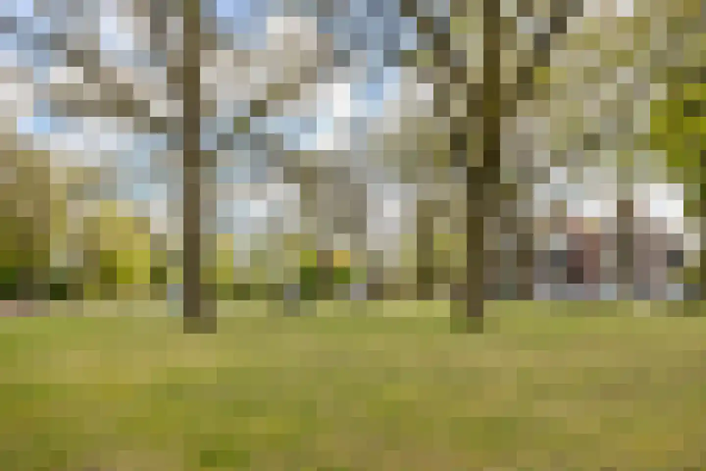 Heezerweg 4 Sterksel thumbnail 28