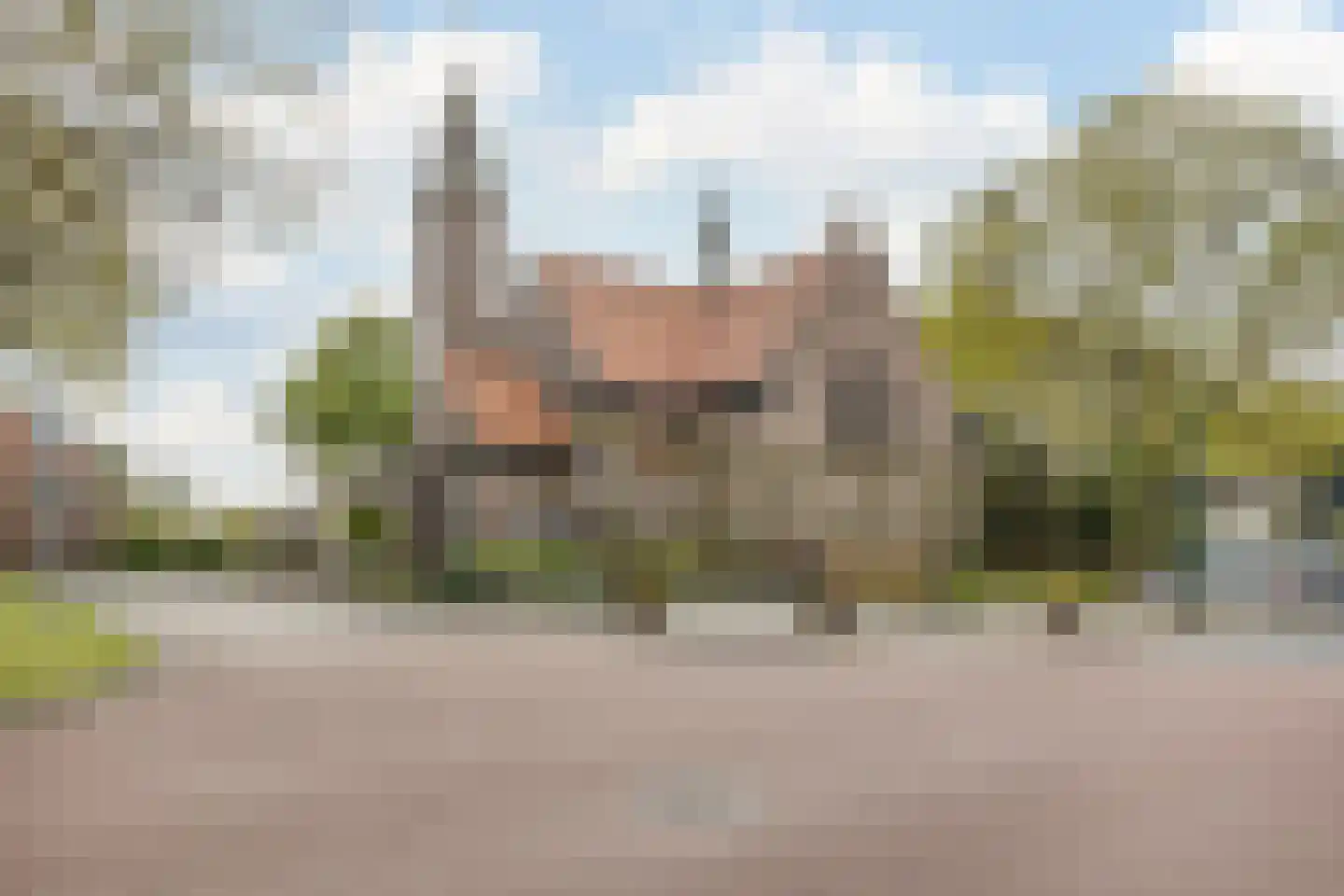 Heezerweg 4 Sterksel thumbnail 29