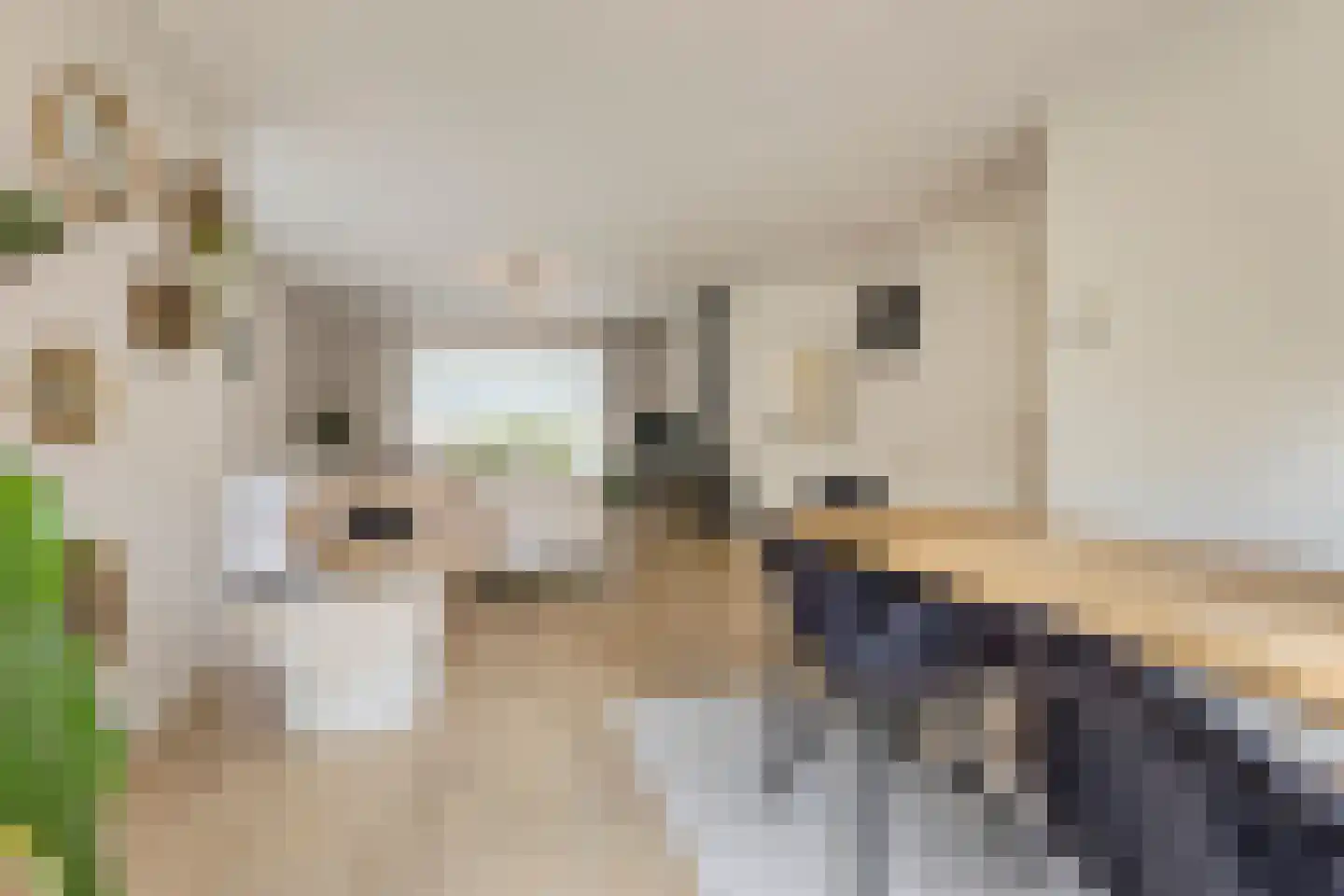 Heezerweg 4 Sterksel thumbnail 8