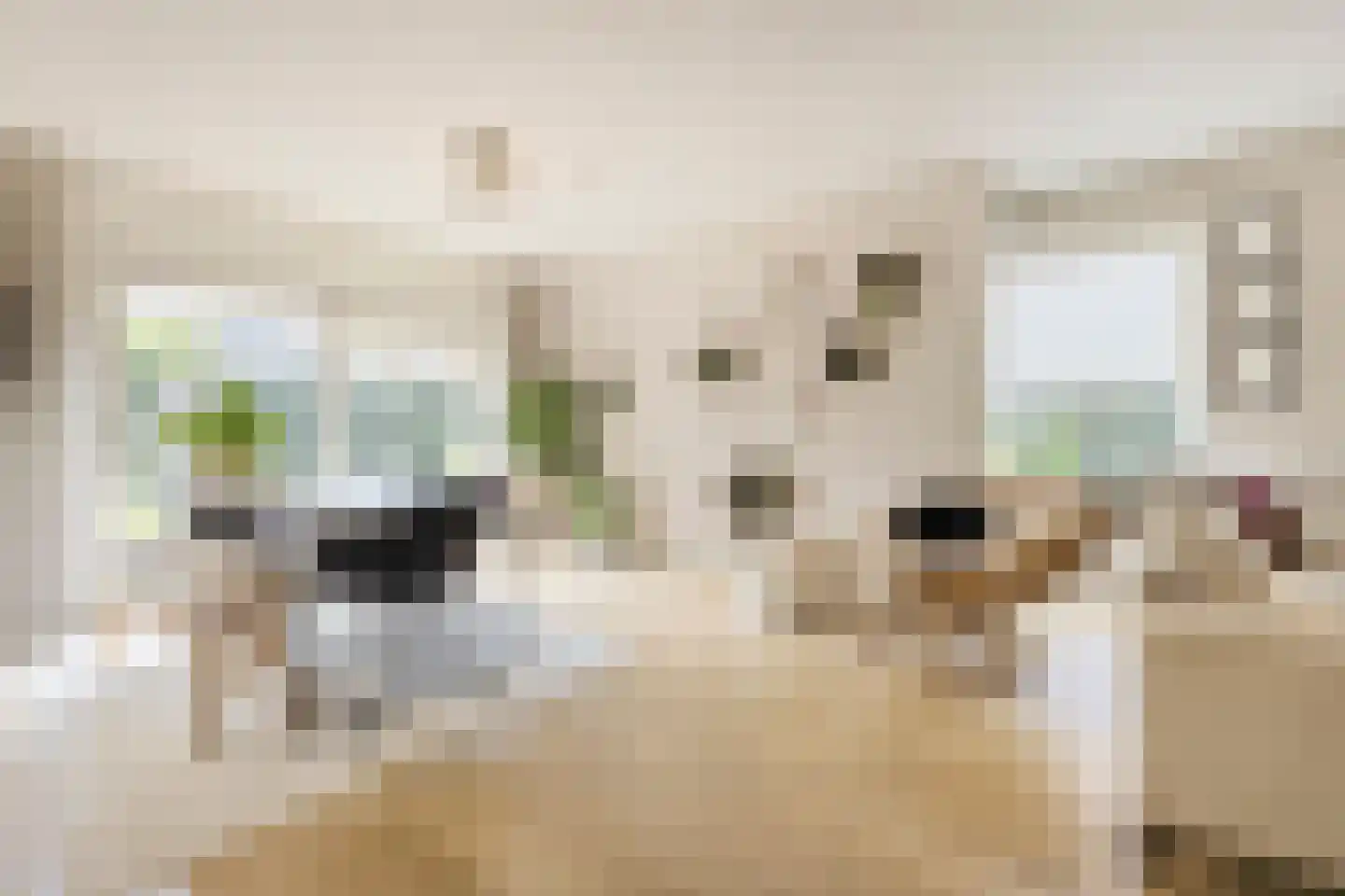 Heezerweg 4 Sterksel thumbnail 9
