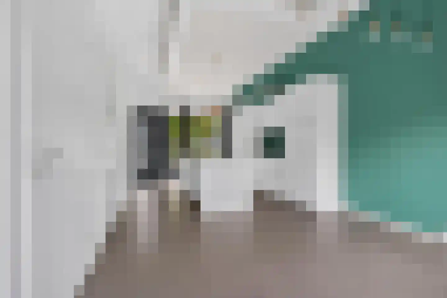 Heezerweg 412 Eindhoven thumbnail 4