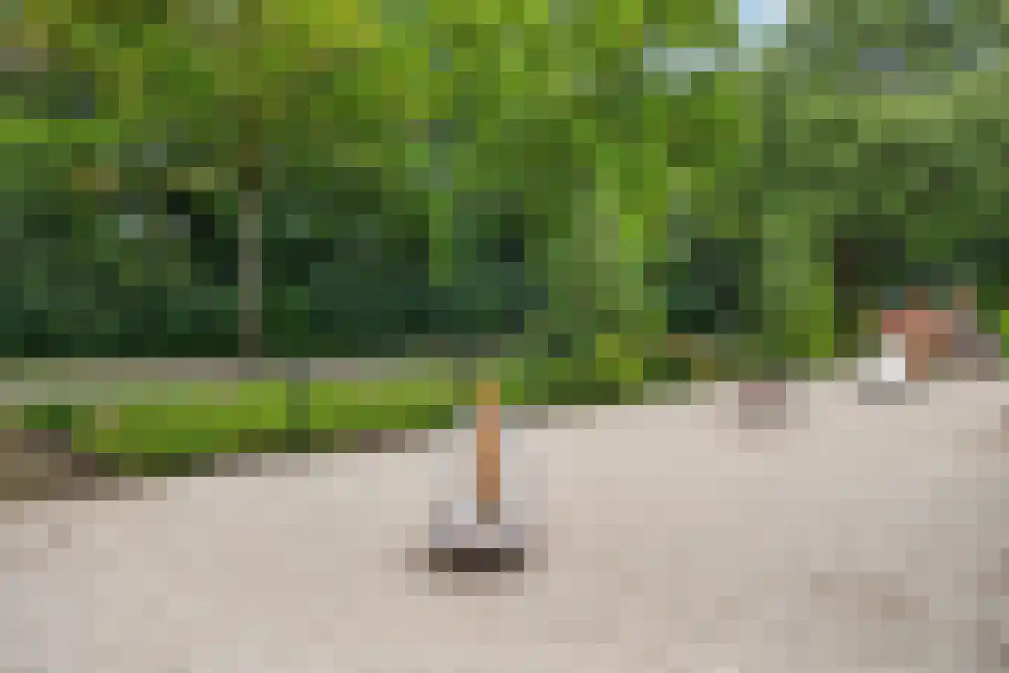 Heezerweg 412 Eindhoven thumbnail 53