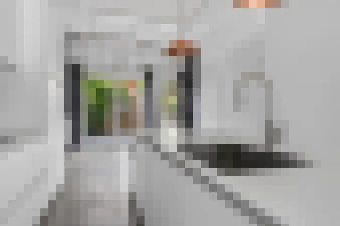Heezerweg 412 Eindhoven thumbnail 8