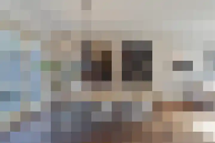 Heezerweg 63 Eindhoven thumbnail 11