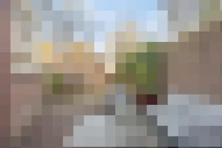 Heezerweg 63 Eindhoven thumbnail 42