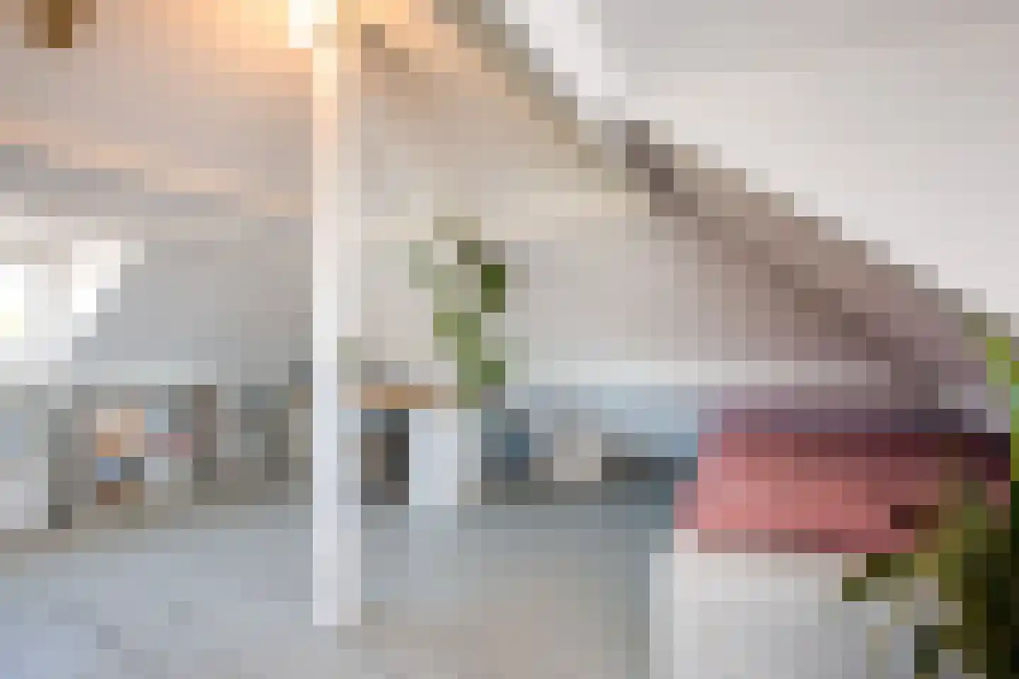 Heezerweg 73 Eindhoven thumbnail 27