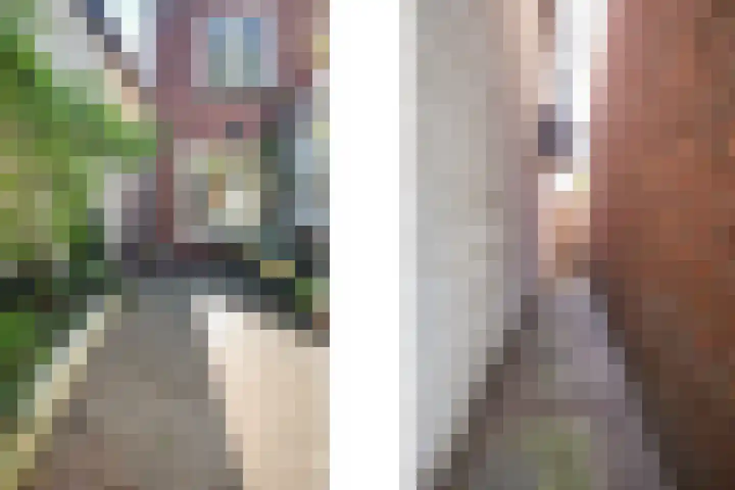 Heezerweg 73 Eindhoven thumbnail 30
