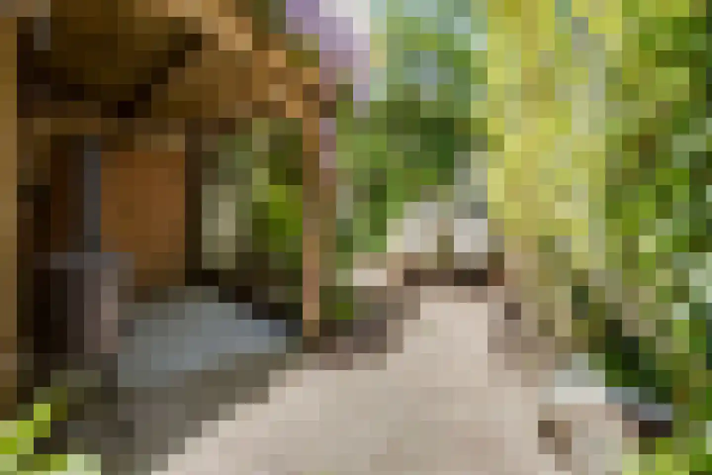Heezerweg 73 Eindhoven thumbnail 33