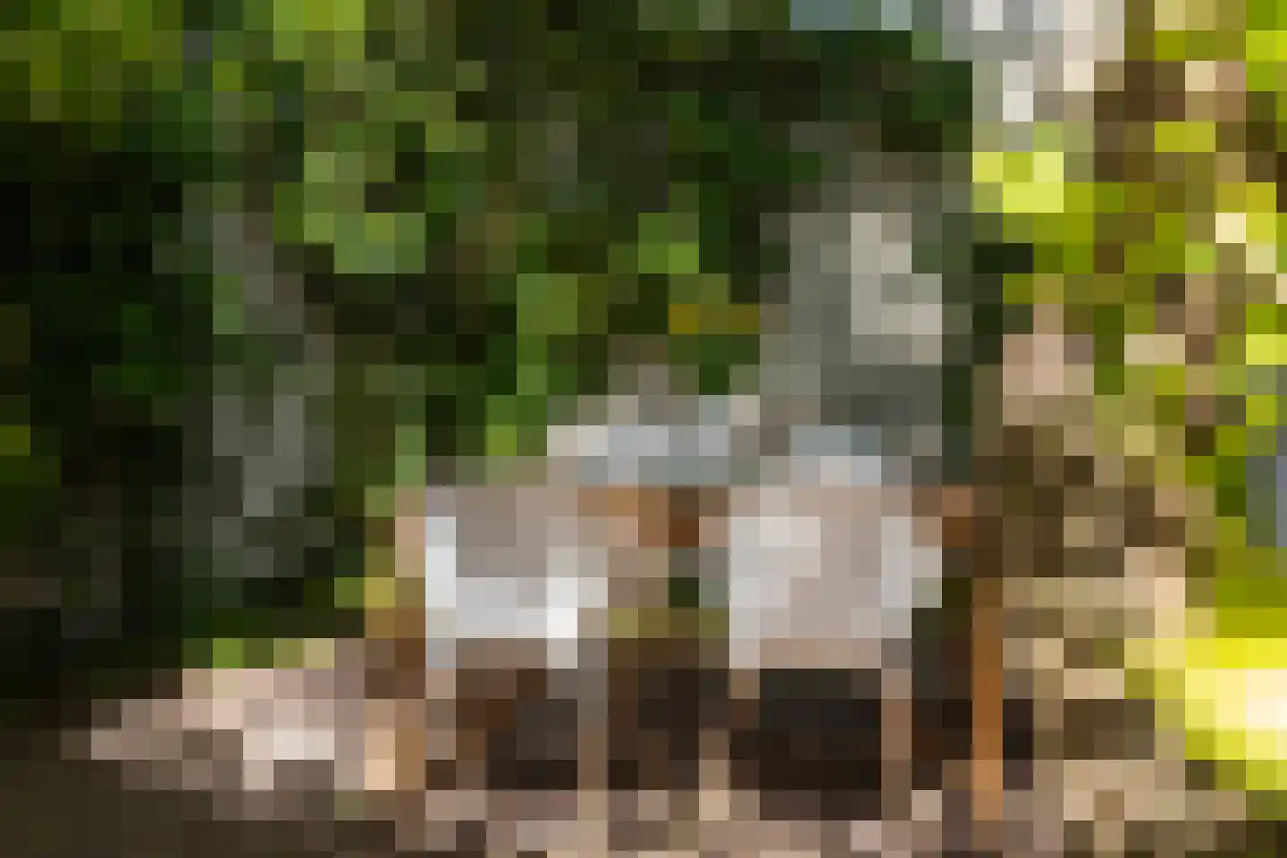 Heezerweg 73 Eindhoven thumbnail 34
