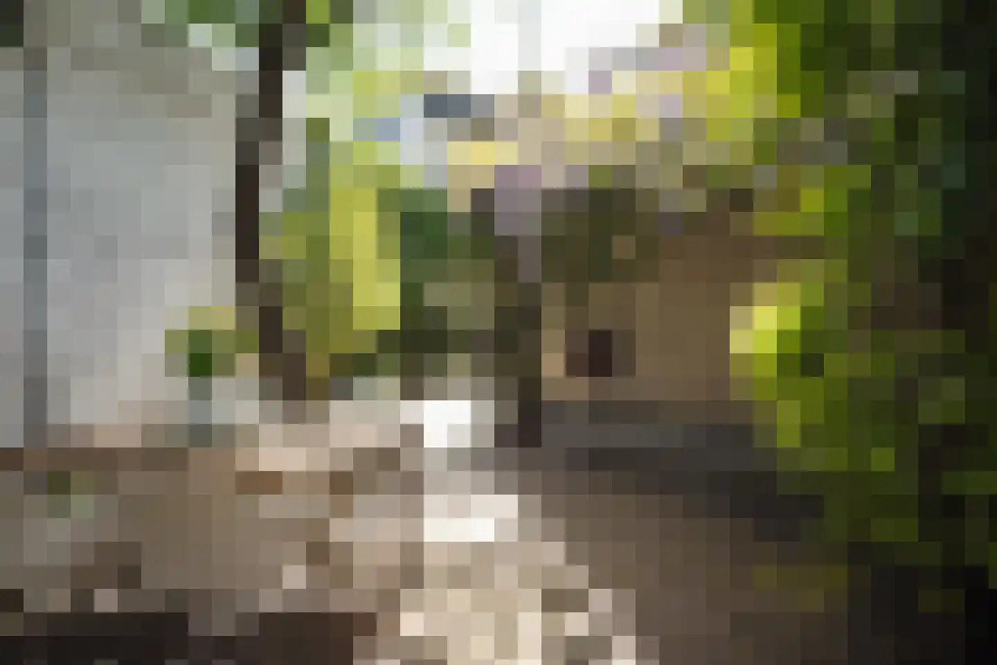 Heezerweg 73 Eindhoven thumbnail 35