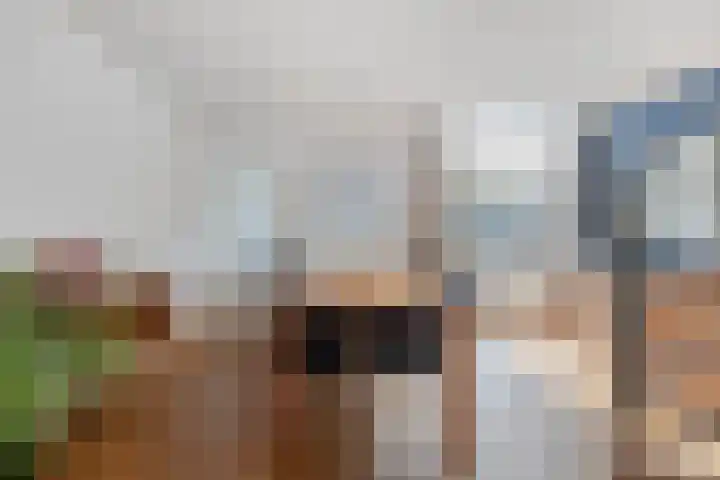 Heezerweg 80 Eindhoven thumbnail 15