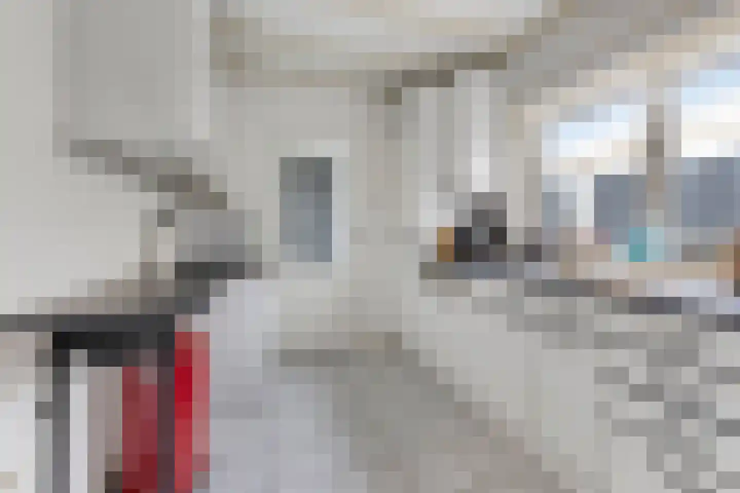 Heezerweg 80 Eindhoven thumbnail 16