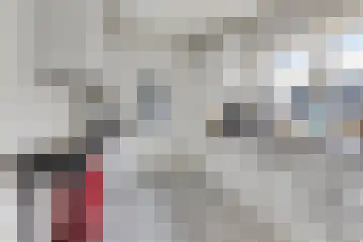 Heezerweg 80 Eindhoven thumbnail 16