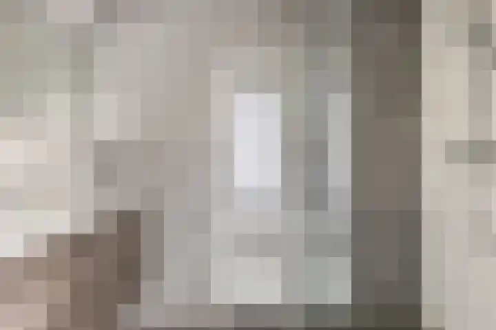 Heezerweg 80 Eindhoven thumbnail 24