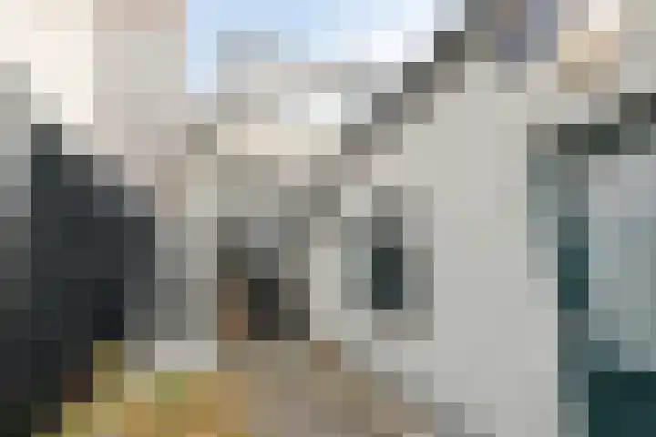 Heezerweg 80 Eindhoven thumbnail 34