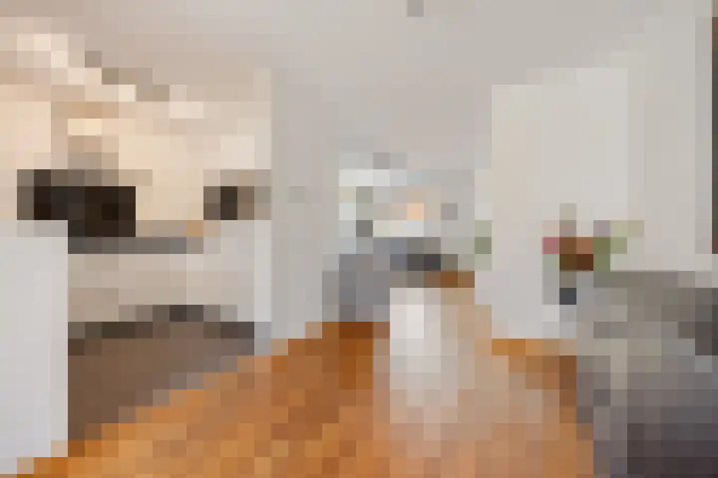 Hegakker 2 Druten thumbnail 10
