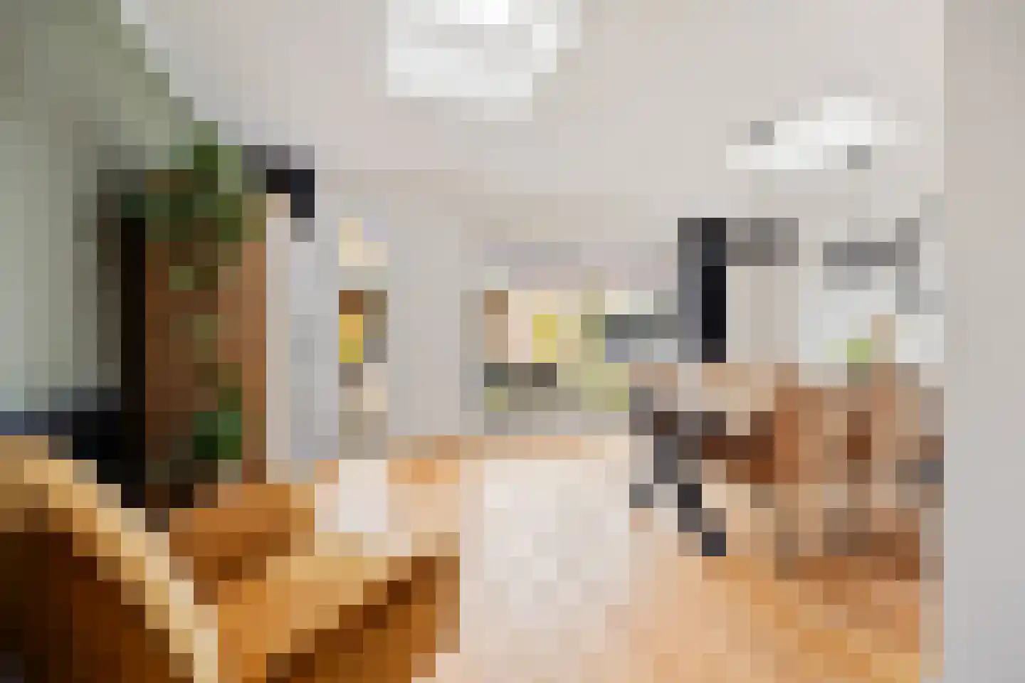 Hegakker 2 Druten thumbnail 16