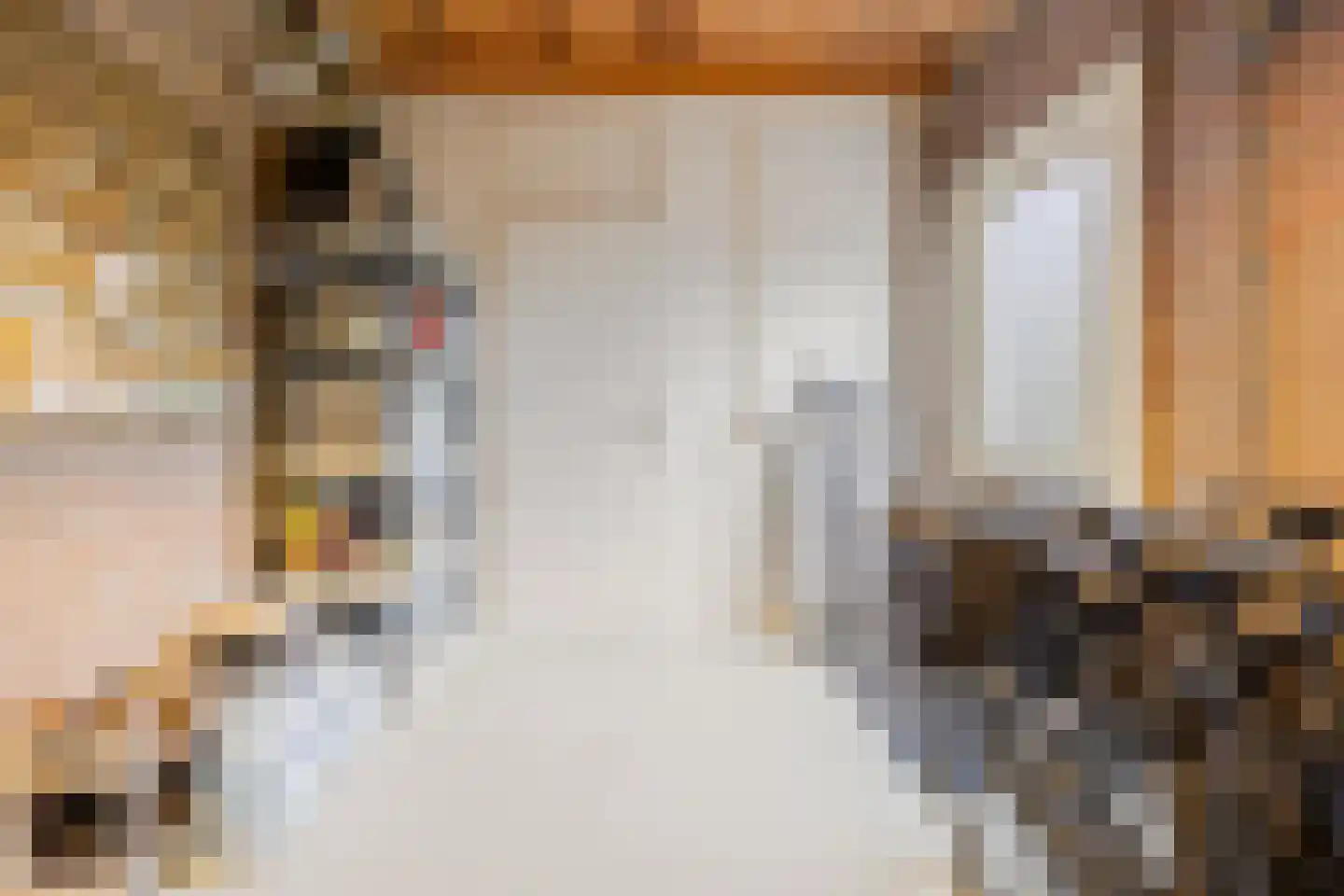 Hegakker 2 Druten thumbnail 24