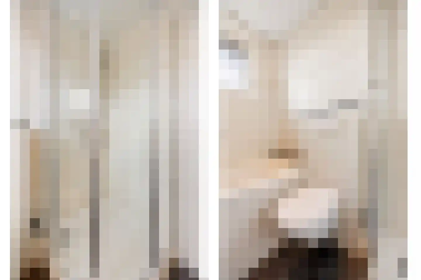 Hegakker 2 Druten thumbnail 35