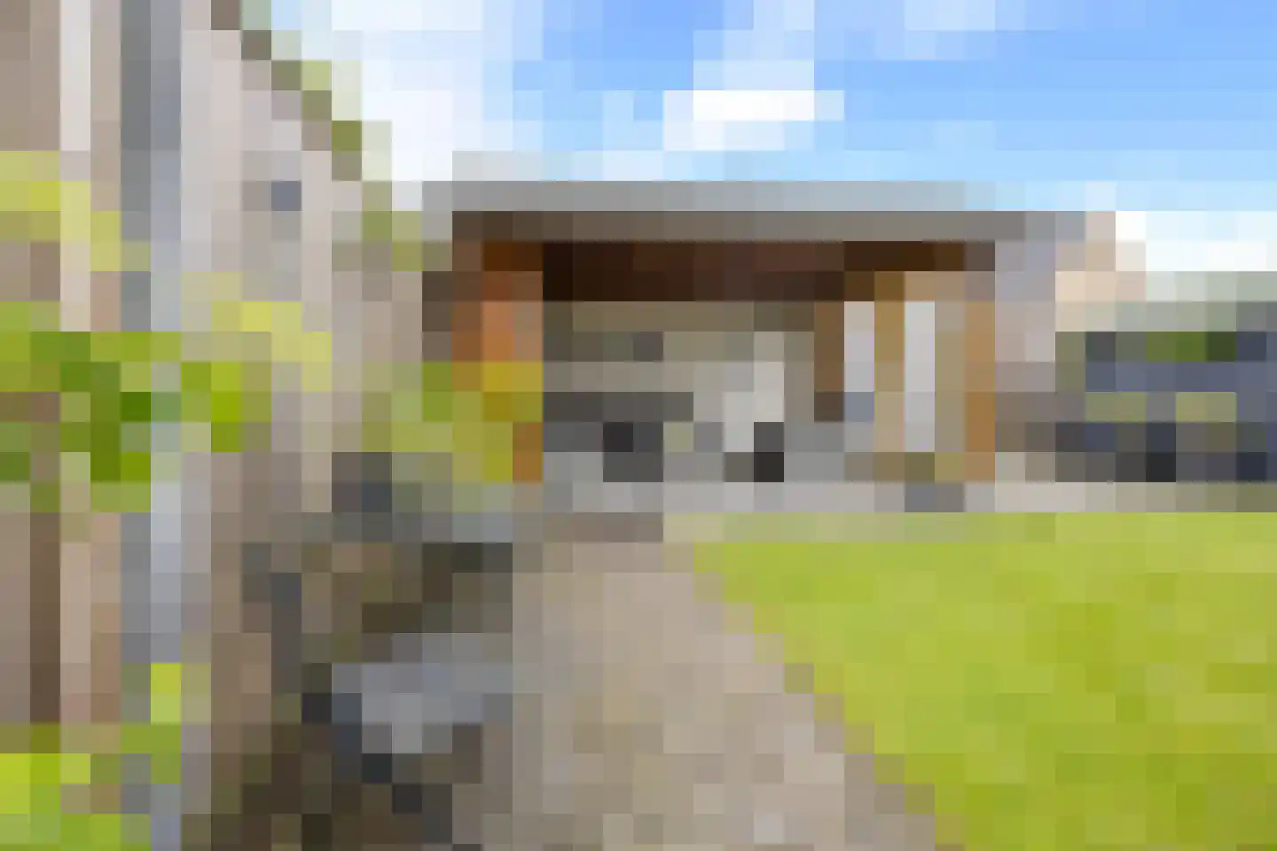 Hegakker 2 Druten thumbnail 46