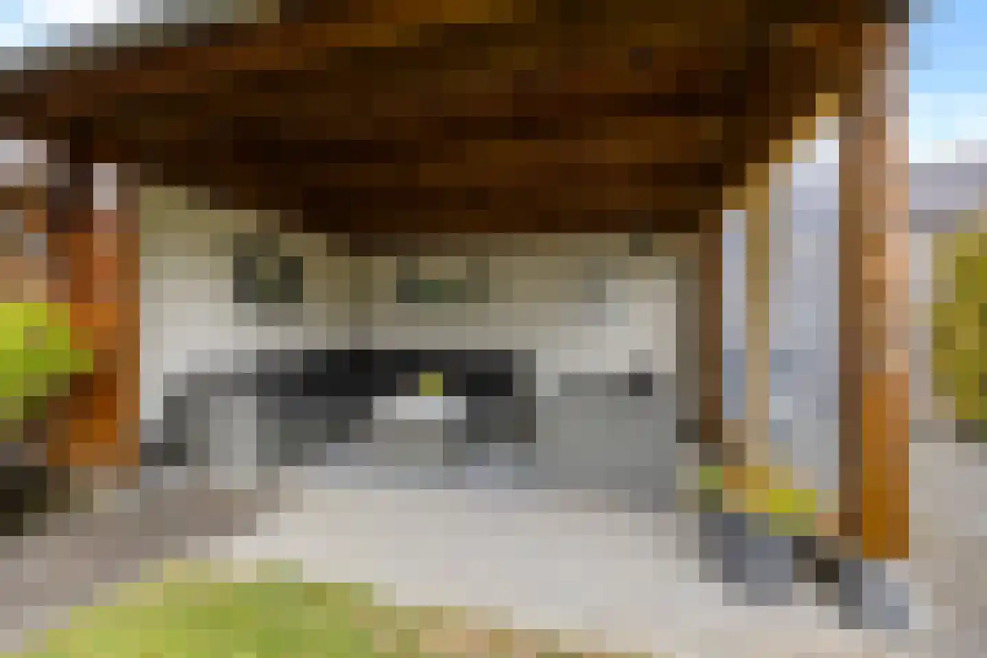 Hegakker 2 Druten thumbnail 47