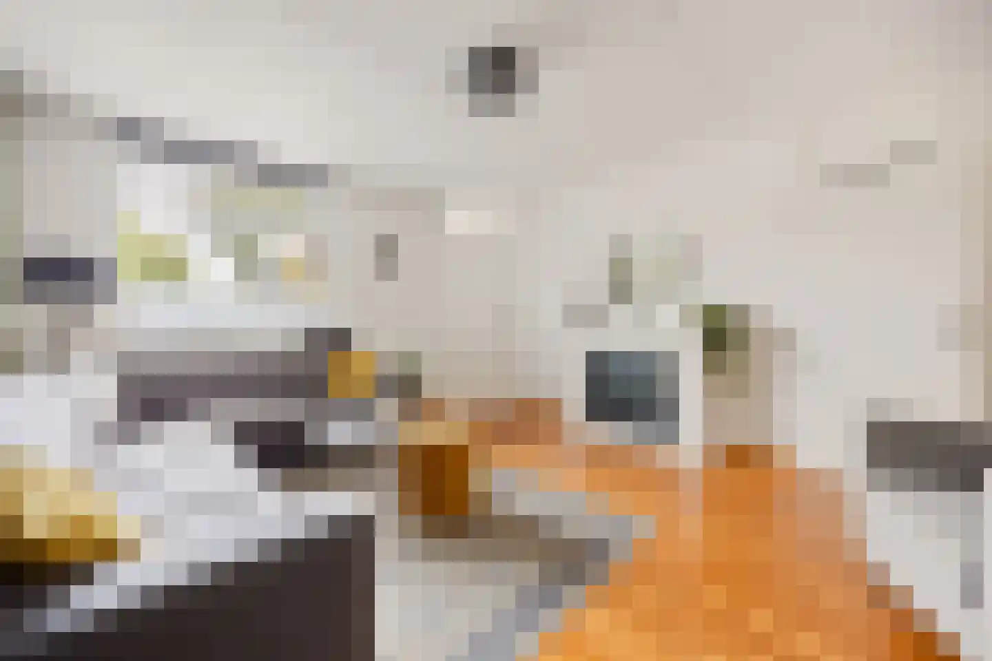 Hegakker 2 Druten thumbnail 5