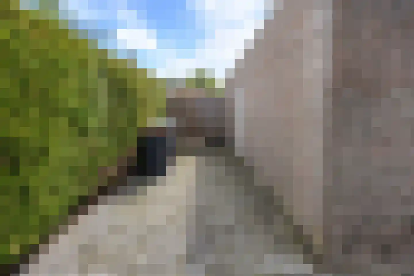 Hegakker 2 Druten thumbnail 50