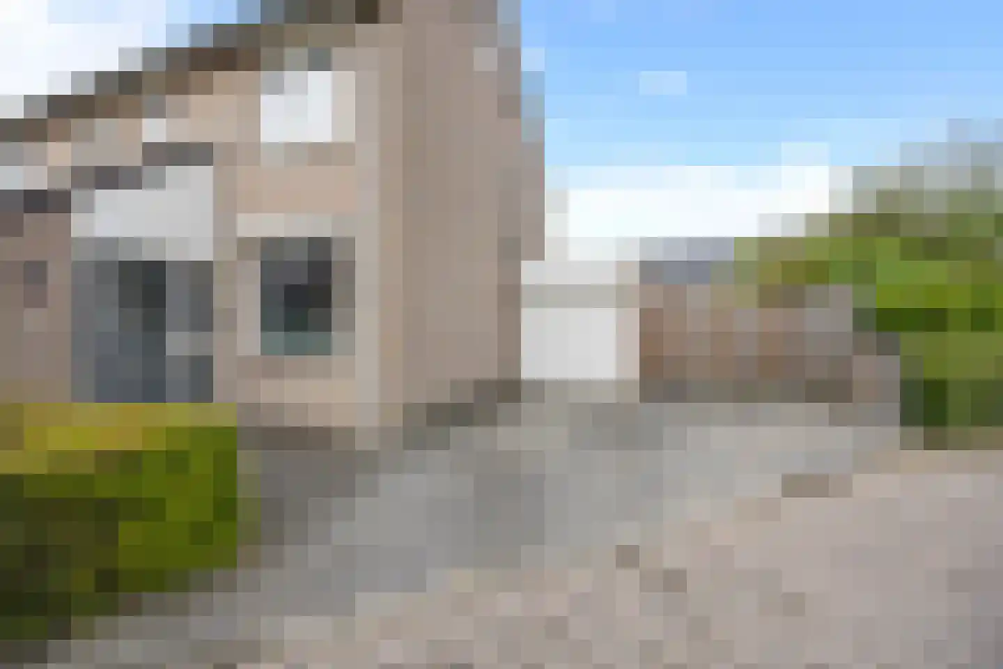 Hegakker 2 Druten thumbnail 51