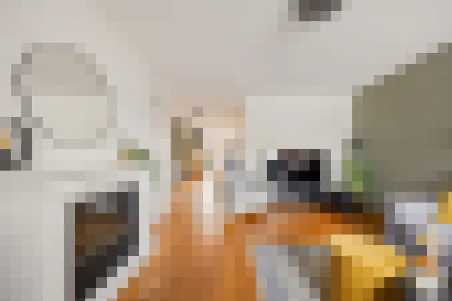 Hegakker 2 Druten thumbnail 9