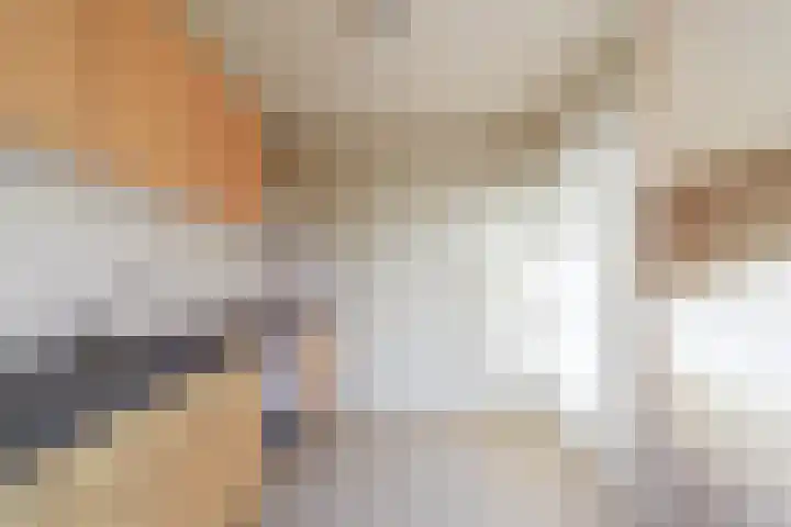 Hegakker 66 Druten thumbnail 12