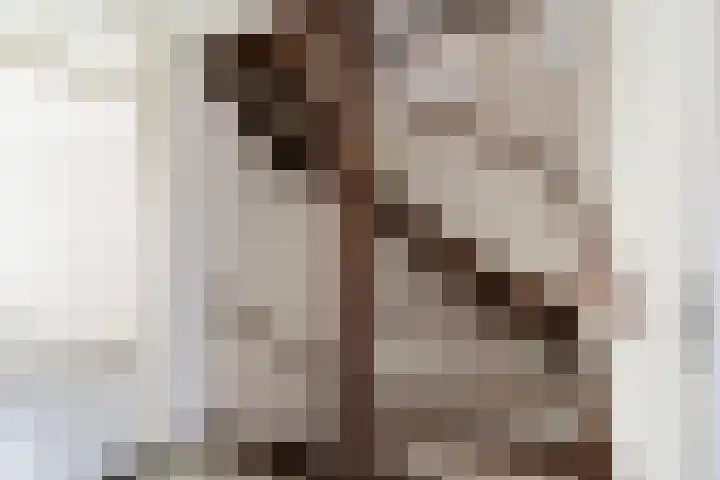 Hegakker 66 Druten thumbnail 13