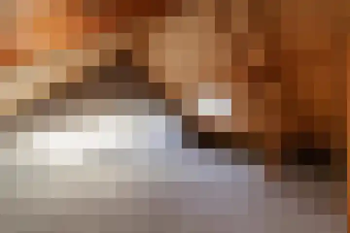 Hegakker 66 Druten thumbnail 20
