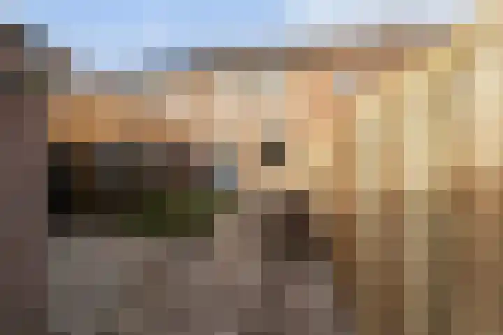 Hegakker 66 Druten thumbnail 6