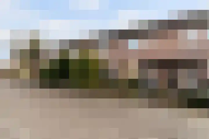 Hegakker 66 Druten thumbnail 7