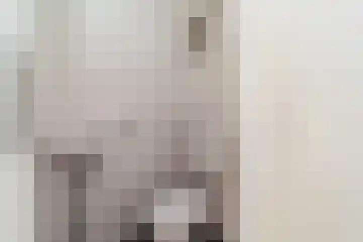 Hegakker 66 Druten thumbnail 9
