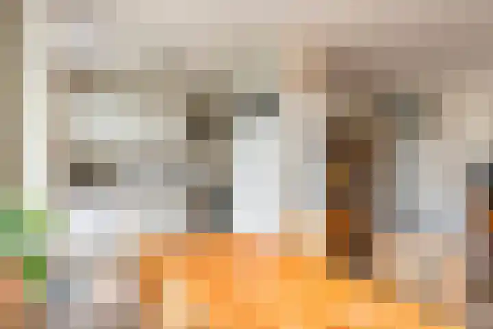 Hegakker 70 Druten thumbnail 10