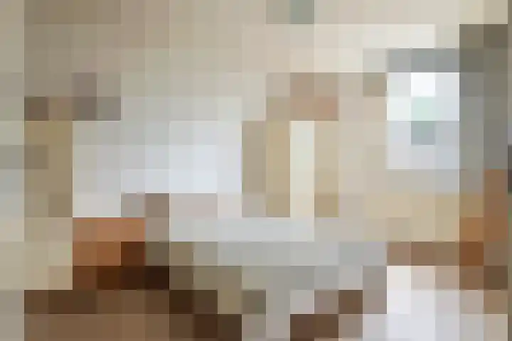 Hegakker 70 Druten thumbnail 18