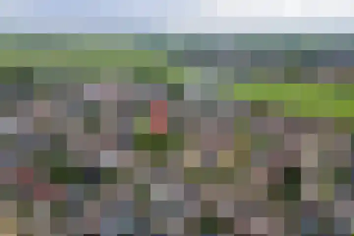 Hegakker 70 Druten thumbnail 31