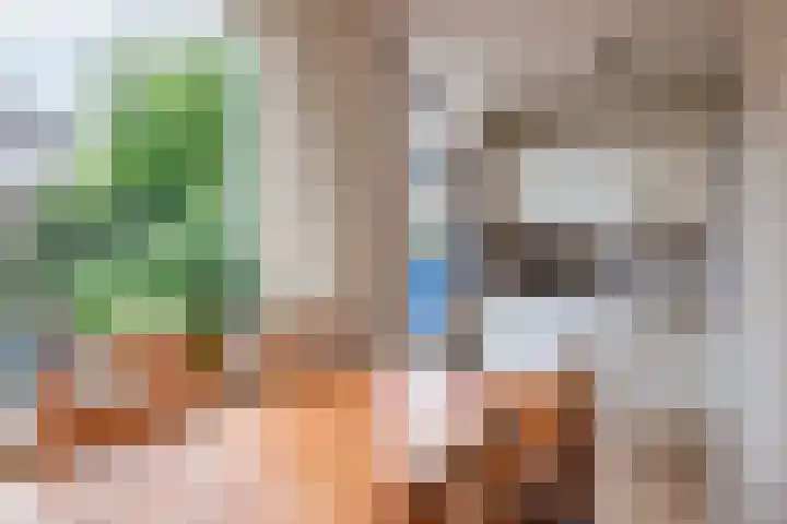 Hegakker 70 Druten thumbnail 8