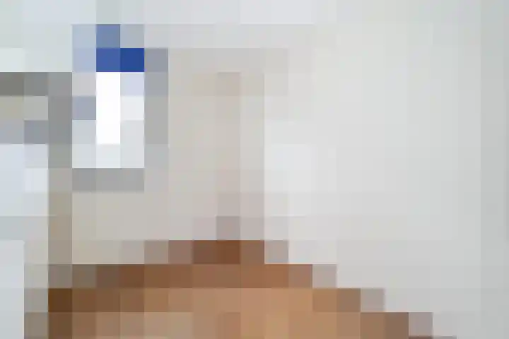 Hegakker 98 Druten thumbnail 16