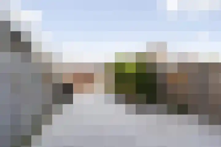 Hegakker 98 Druten thumbnail 21