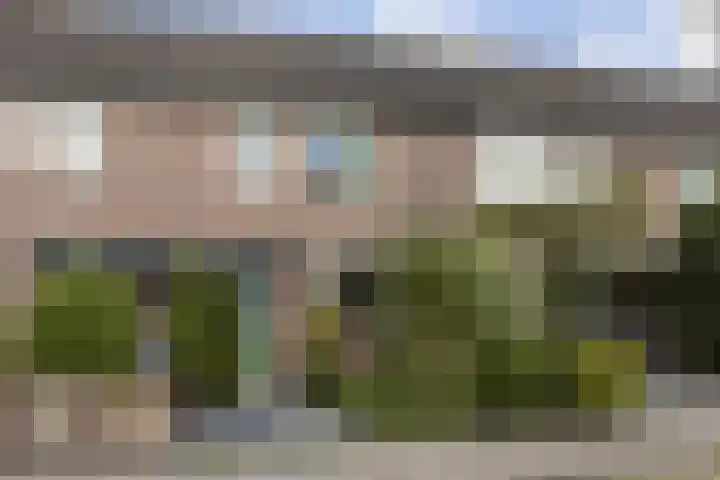 Hegakker 98 Druten thumbnail 22