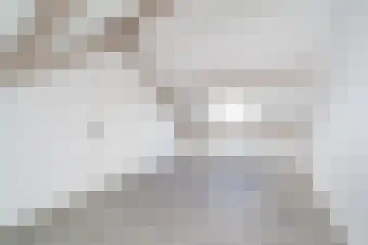 Hegakker 98 Druten thumbnail 5