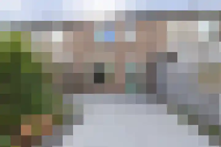 Hegakker 98 Druten thumbnail 6