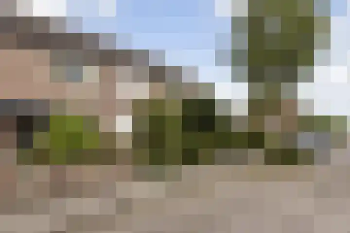 Hegakker 98 Druten thumbnail 7