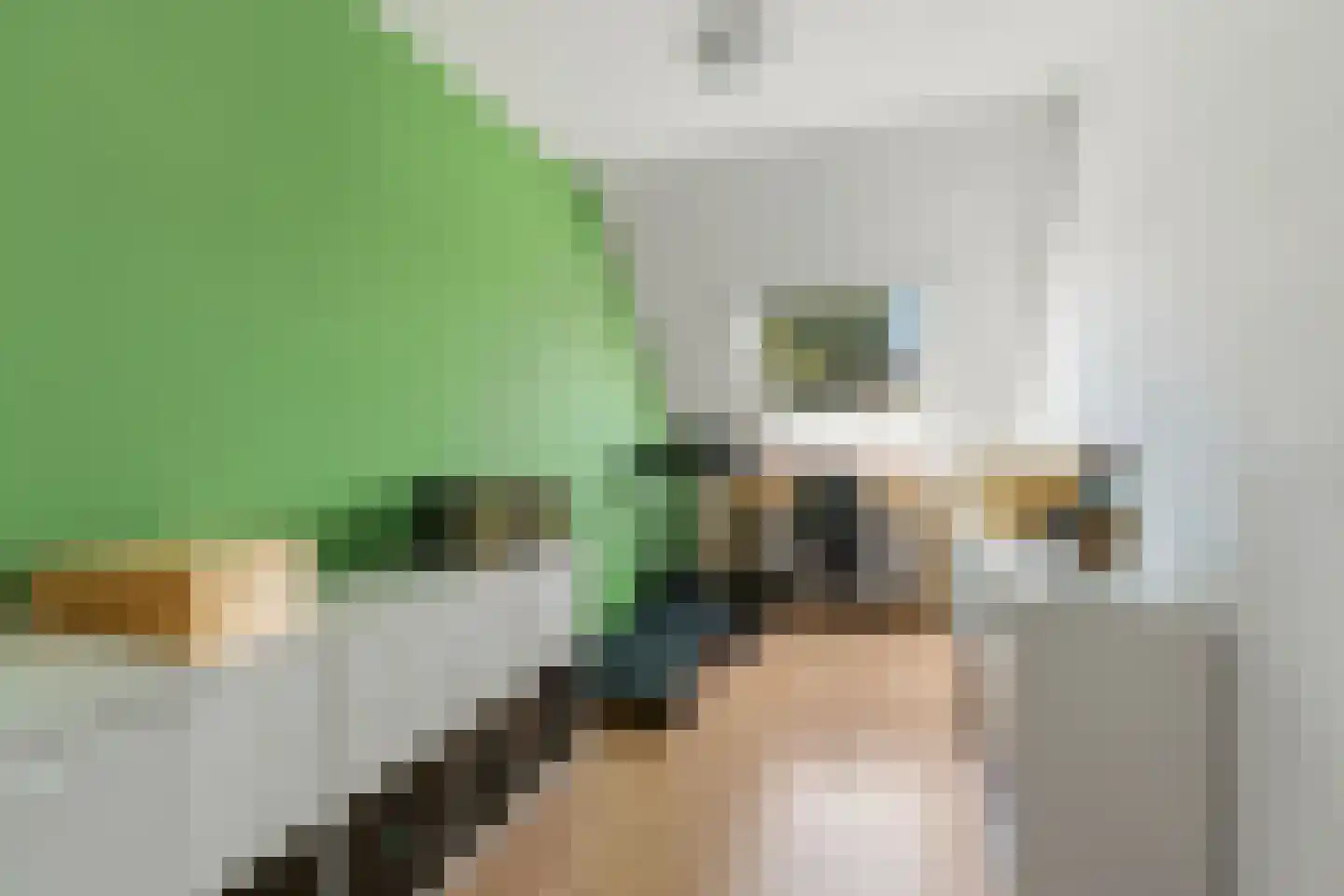 Hegdambroek 1005 Nijmegen thumbnail 32