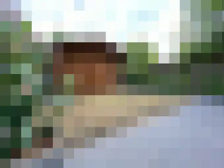 Hegdambroek 1060 Nijmegen thumbnail 10